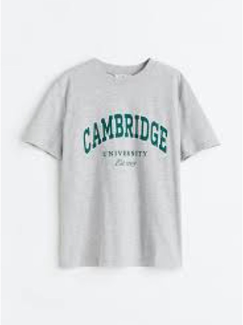 H&M Cambridge Graphic Tee in Light Gray and Green